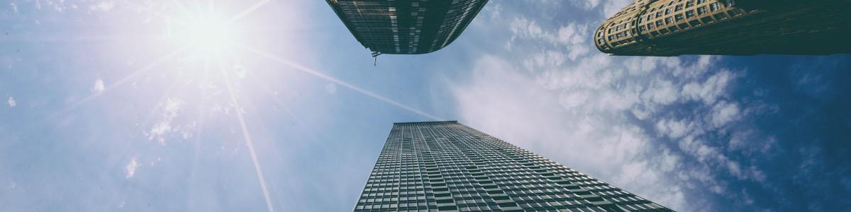 商务ODI证书：企业海外投资新通行证